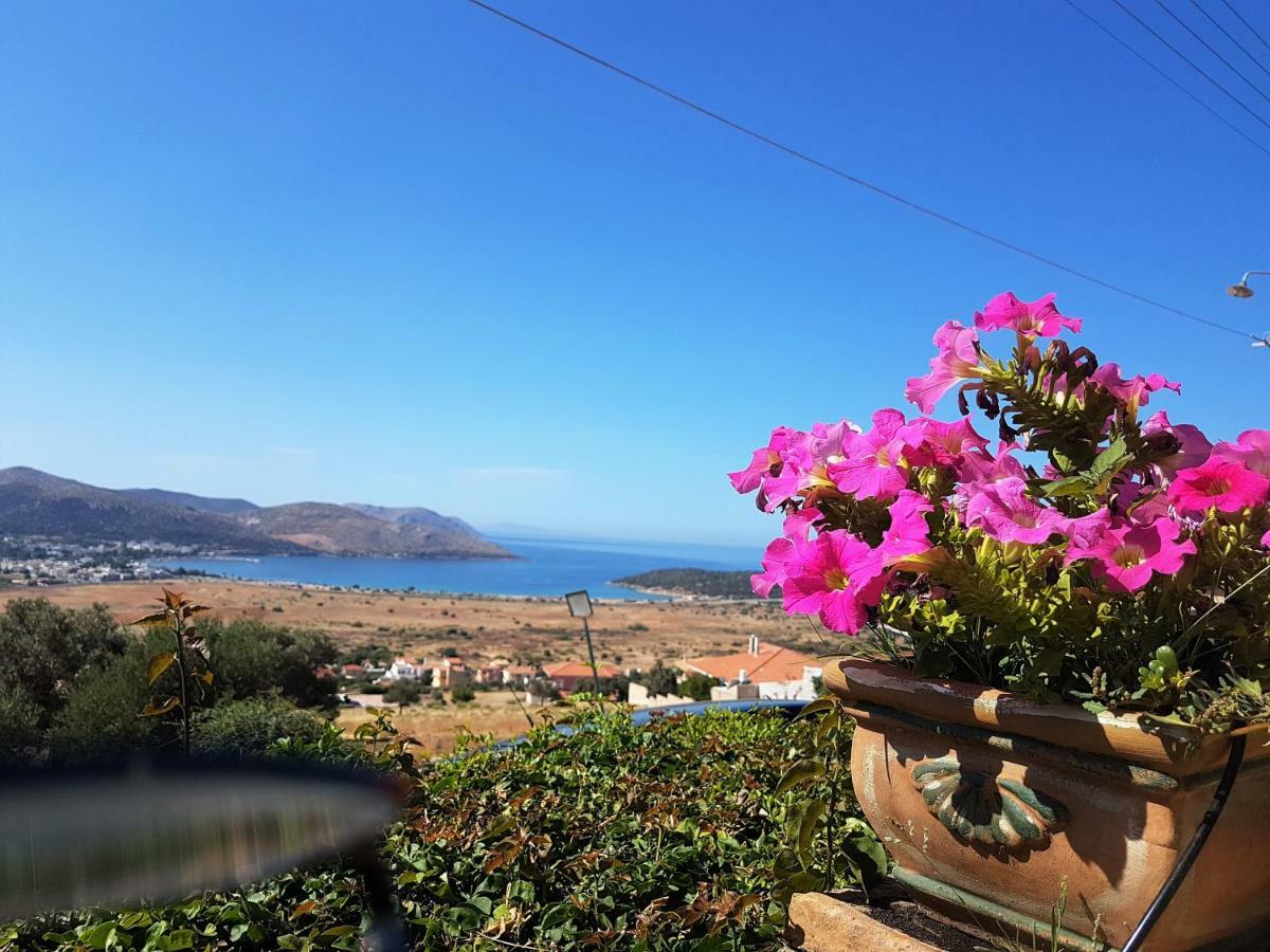 Nadia'S Traditional Greek House Anavyssos Exterior foto
